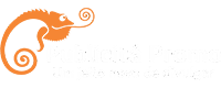 Publicit Promo